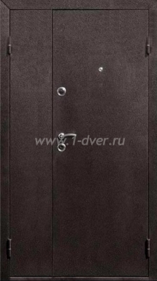 Металлическая дверь ДД-40