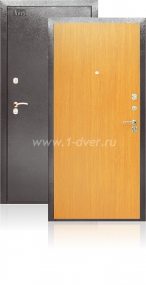 Входная дверь Аргус ДА-1  - металлические двери эконом класса с установкой