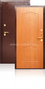 Входная дверь Аргус ДА-2 - металлические двери эконом класса с установкой