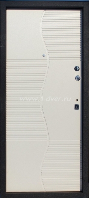 Металлическая дверь ДД-51