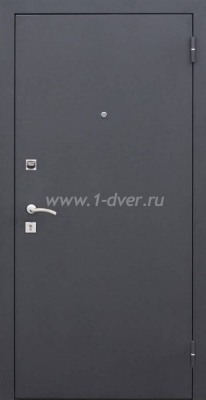 Металлическая дверь с зеркалом ДД-65