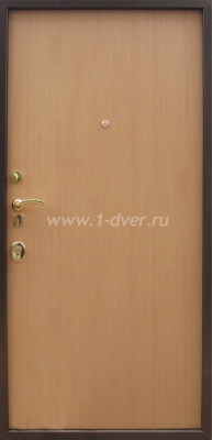 Металлическая дверь ДД-73